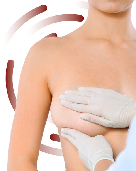 palpation sein 1