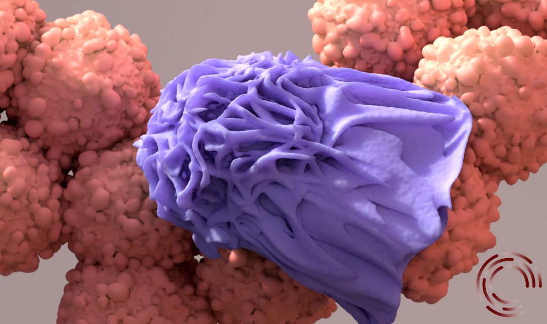 Immunothérapie.